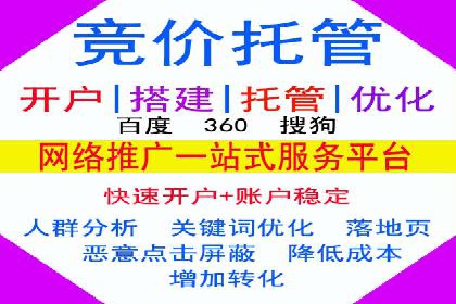 SEM公司案例分享：优化效果与转化率提升策略